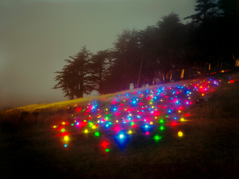 Illustration for article titled What Is The Meaning Of These Strange Glowing Shapes In The Wilderness?
